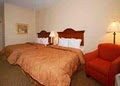 Comfort Inn image 6