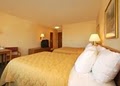 Comfort Inn image 6