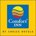 Comfort Inn image 6