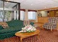 Comfort Inn image 6