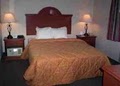 Comfort Inn image 7