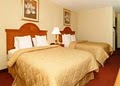 Comfort Inn image 7