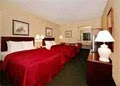 Comfort Inn image 7