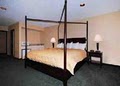 Comfort Inn image 8