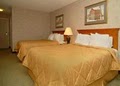 Comfort Inn image 8