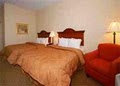 Comfort Inn image 8