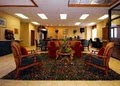 Comfort Inn image 8