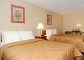 Comfort Inn image 8