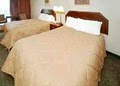 Comfort Inn image 9