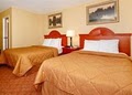 Comfort Inn image 9