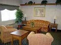 Comfort Inn image 9