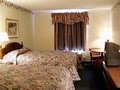 Comfort Inn image 9