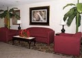 Comfort Inn image 10