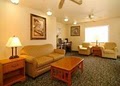 Comfort Inn image 10