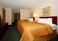 Comfort Inn image 10