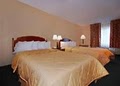 Comfort Inn logo