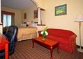 Comfort Suites Historic District image 3