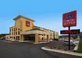 Comfort Suites image 2