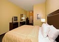 Comfort Suites image 2