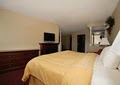 Comfort Suites image 3