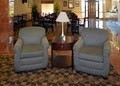 Comfort Suites image 4