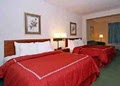 Comfort Suites image 4