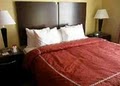 Comfort Suites image 6