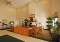Comfort Suites image 8
