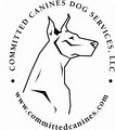 Committed Canines Dog Services image 5