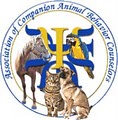 Committed Canines Dog Services image 7