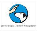 Committed Canines Dog Services image 9