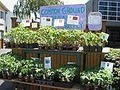 Common Ground Garden Supply & Education Center image 7