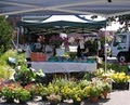 Community Farmers' Market image 3