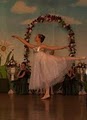 Company Ballet School image 2