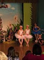 Company Ballet School image 3