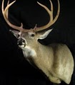 Connecticut Taxidermy.com image 2