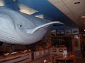 Coopers Seafood House image 8