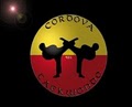 Cordova Appeal image 4
