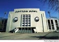 Cotton BOWL image 2