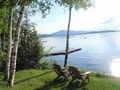 Cozy Moose Cabin Rentals- Moosehead Lake, Maine Office image 5