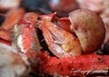 Crab Pot Seafood Restaurant image 4