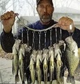 Crappie Central image 1
