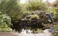 Creative Water Gardens, Inc. image 2