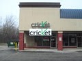 Cricket WorldComm image 2