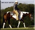 Crull Paint Horses image 6