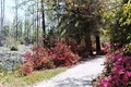 Cypress Gardens image 2