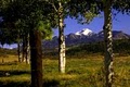 D. West Davies Pagosa Springs Real Estate, Homes, Ranches, Photos, Videos logo