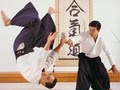 DC Aikido / Okinawa Aikikai image 7