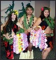 DC Luau Entertainment image 2