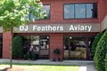 DJ Feathers Aviary image 3